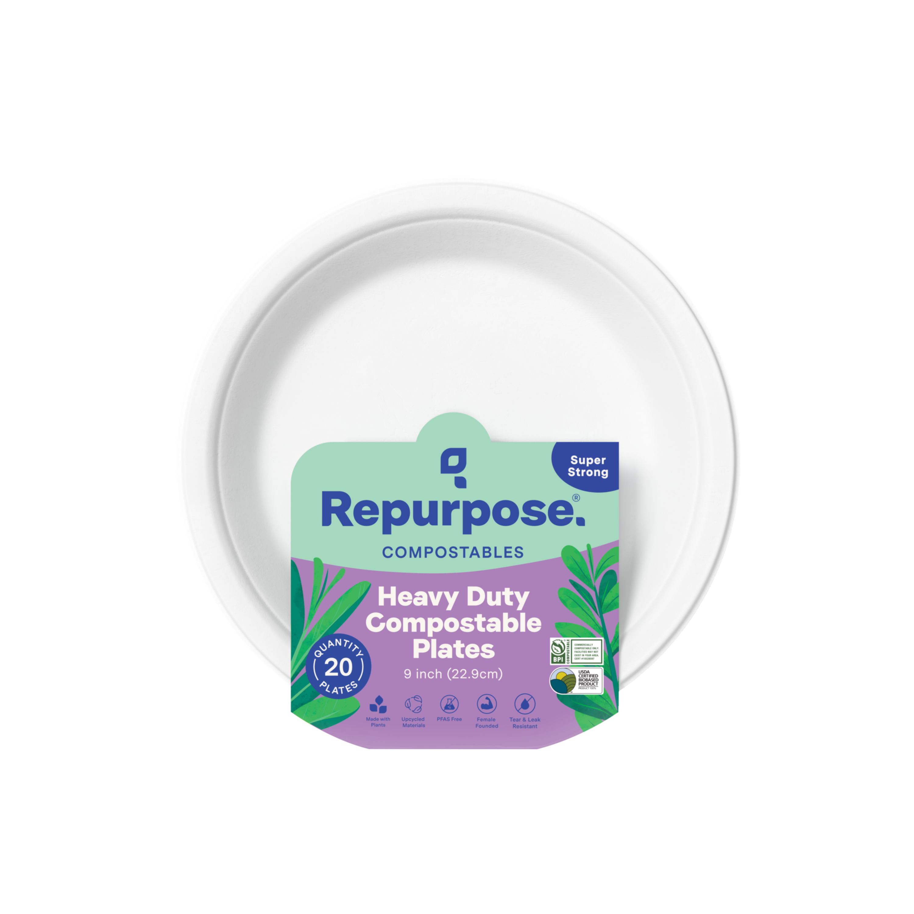 Compostable Everyday Plates