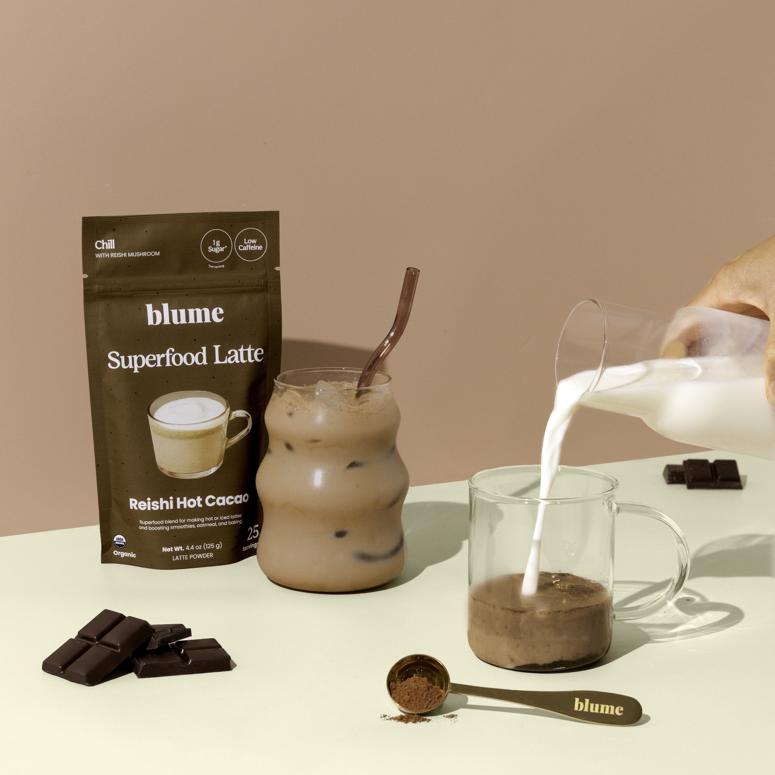 Organic Reishi Hot Cacao Latte Powder