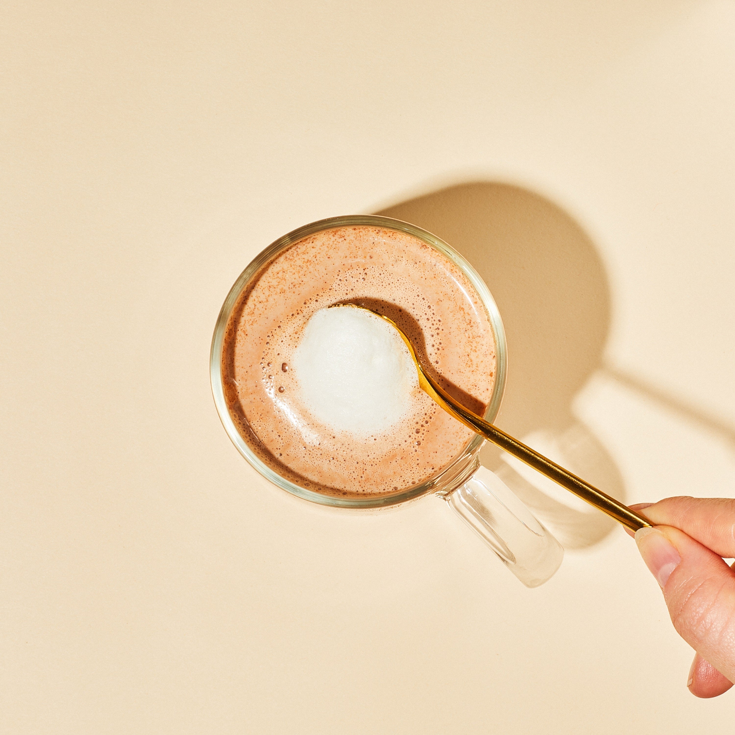 Organic Reishi Hot Cacao Latte Powder