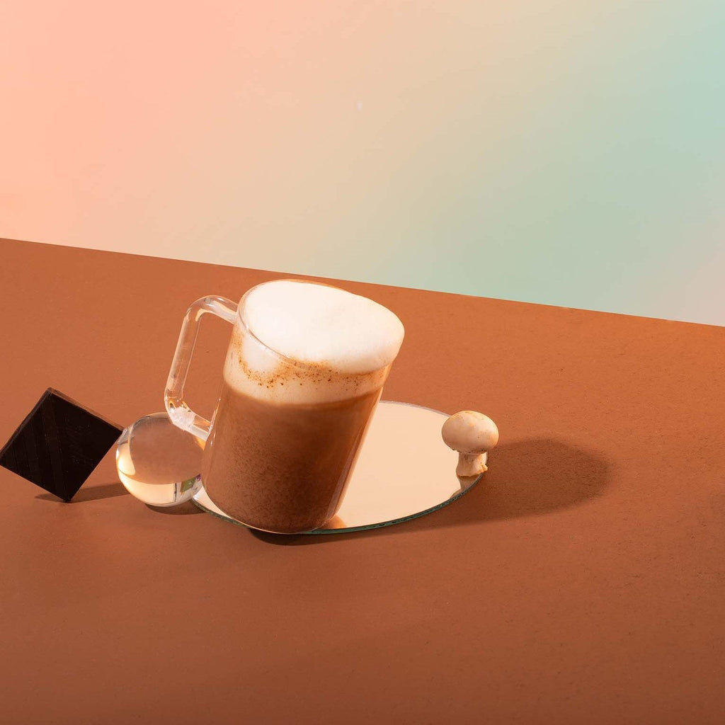 Organic Reishi Hot Cacao Latte Powder