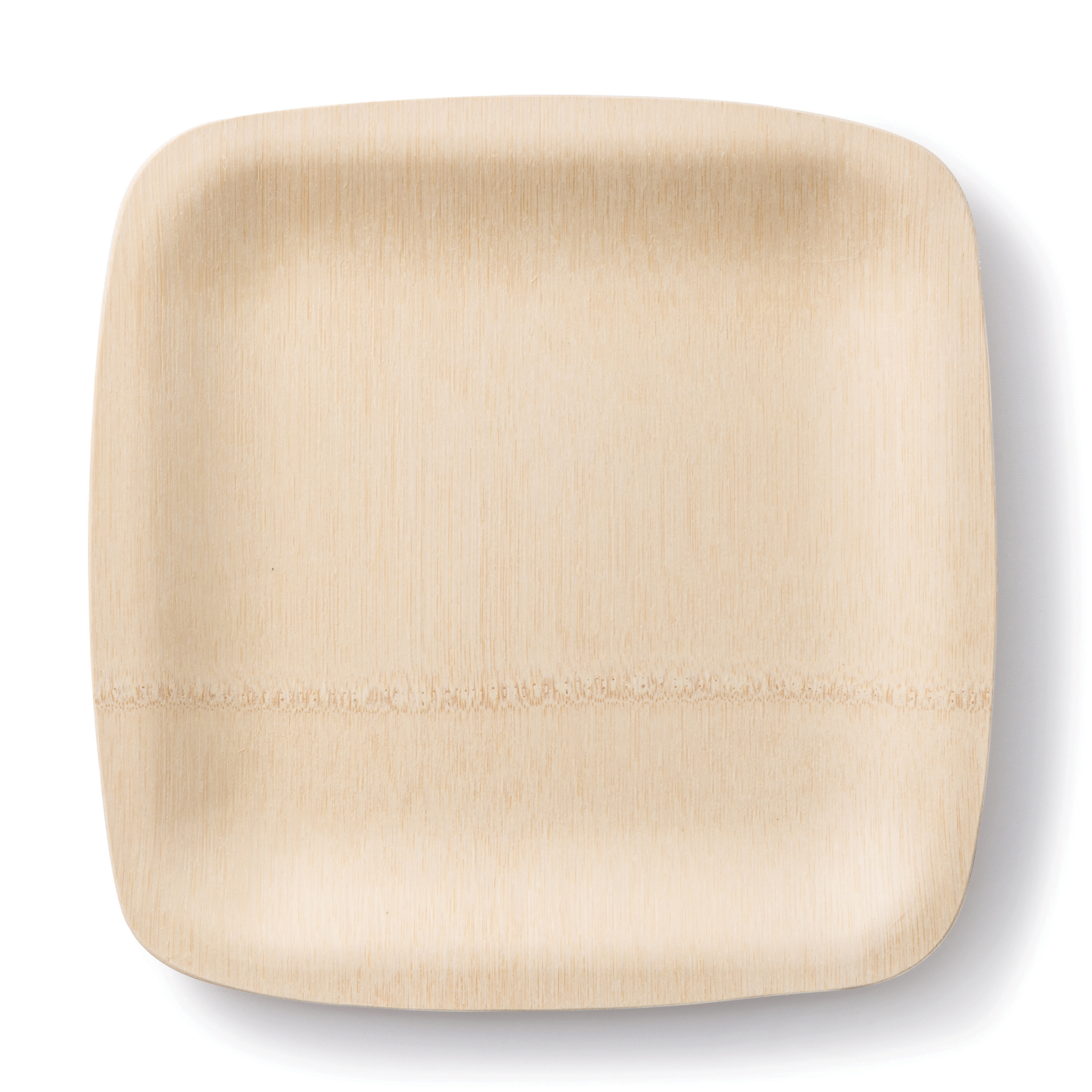 Veneerware 11" Plates
