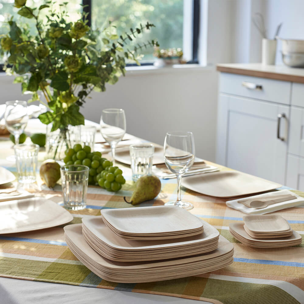 Veneerware 11" Plates