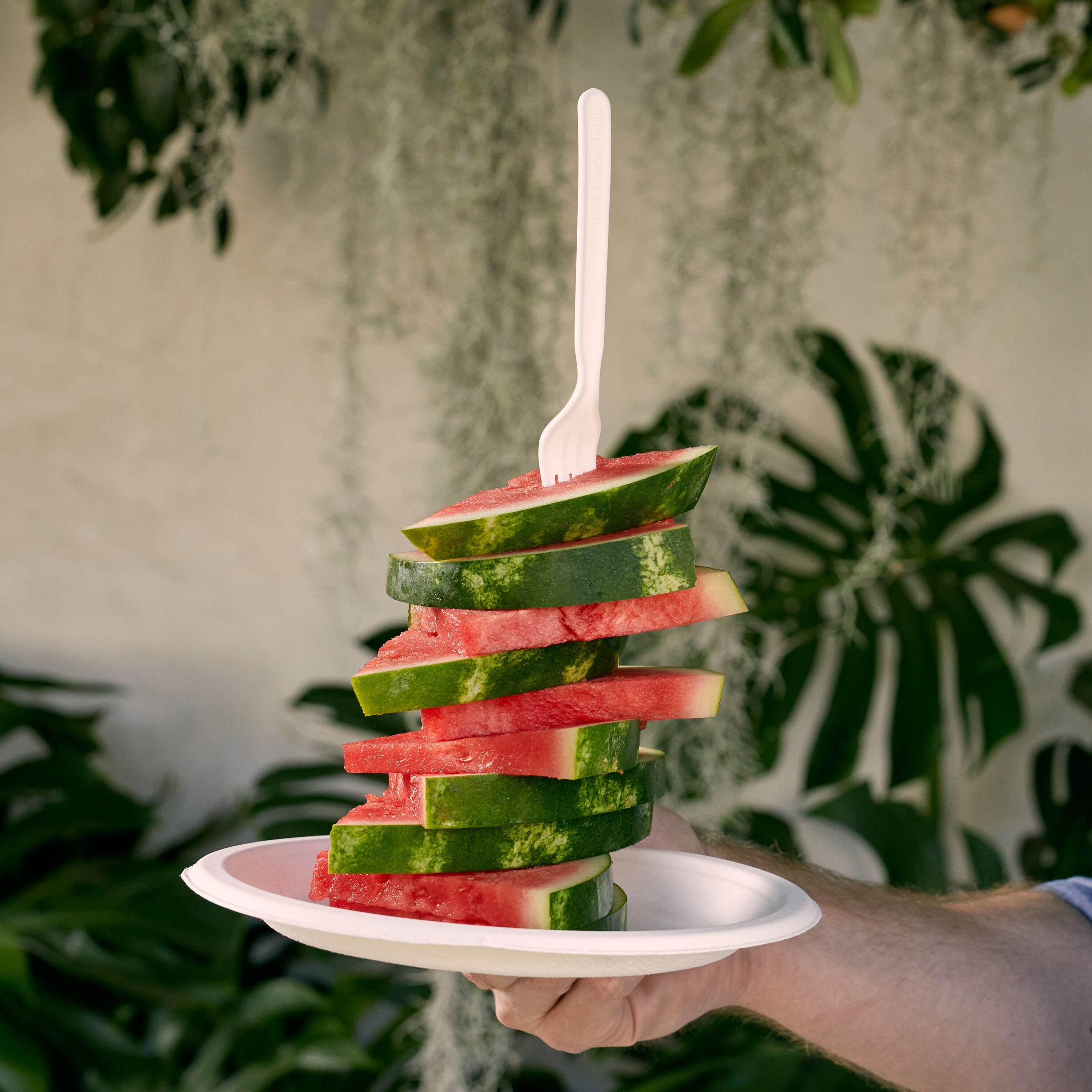 Compostable Forks
