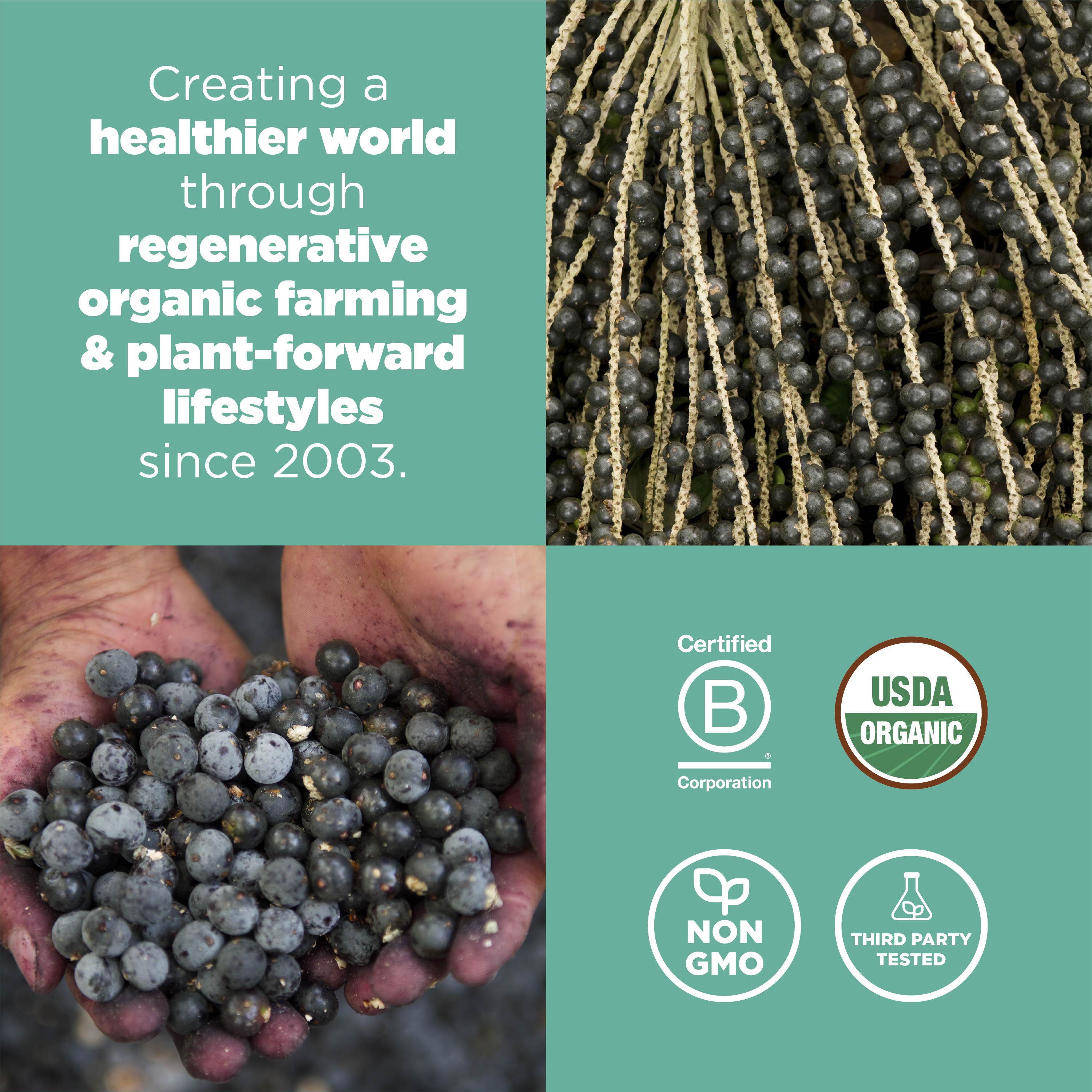Organic Acai Powder