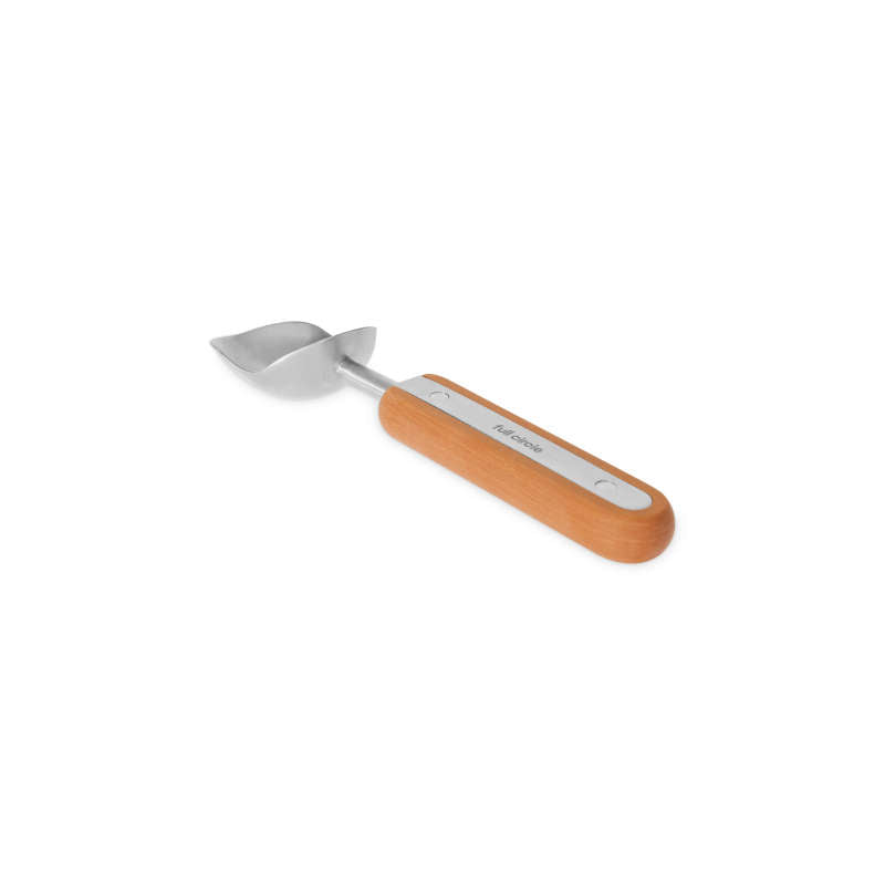 Ice Cream Scoop
