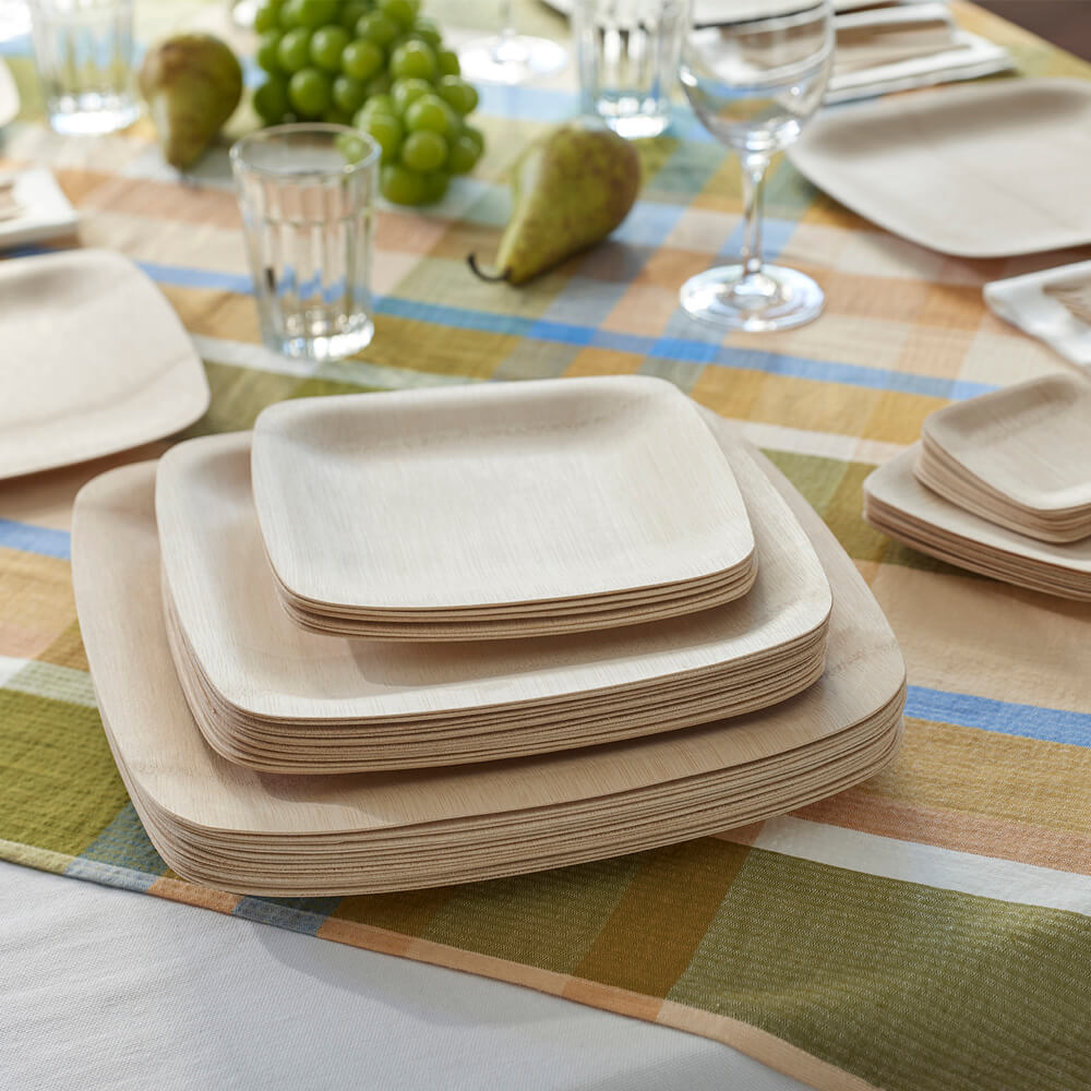 Veneerware 11" Plates