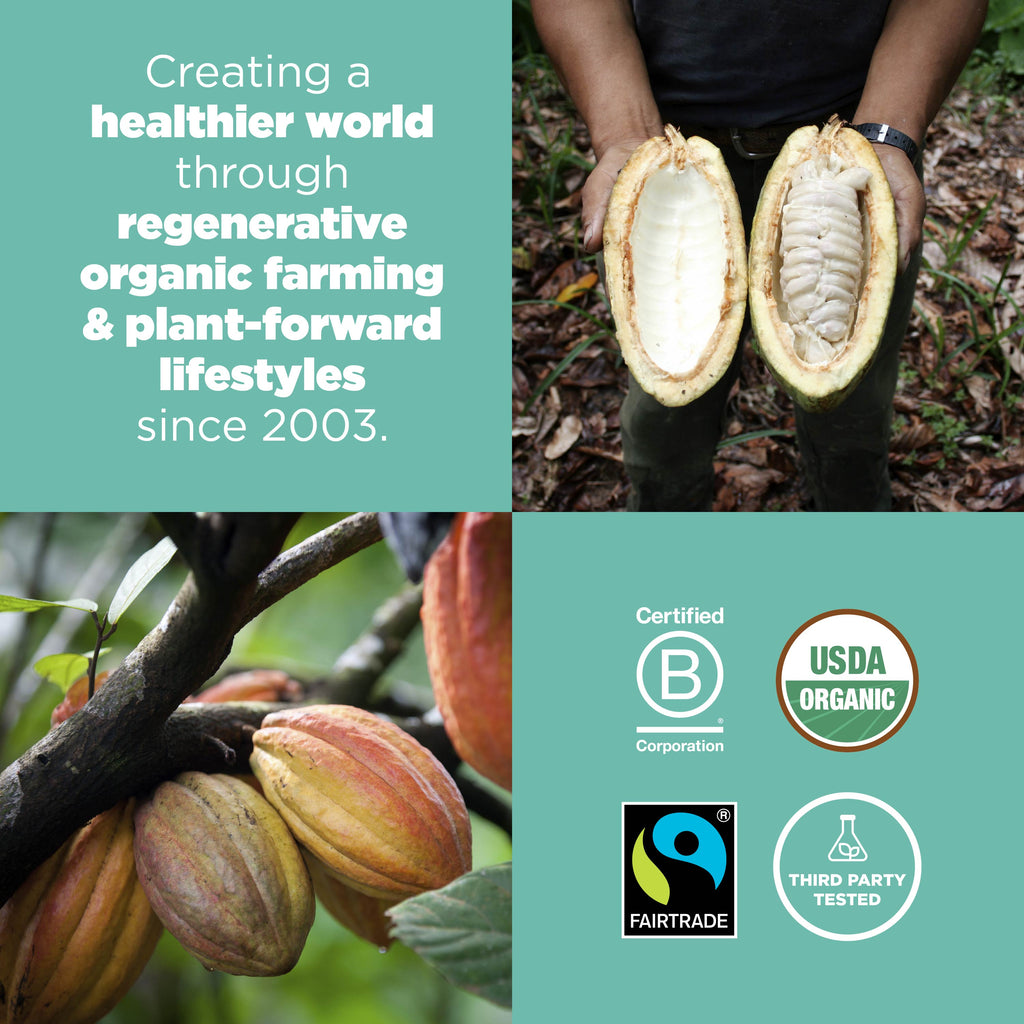 Organic Cacao Nibs