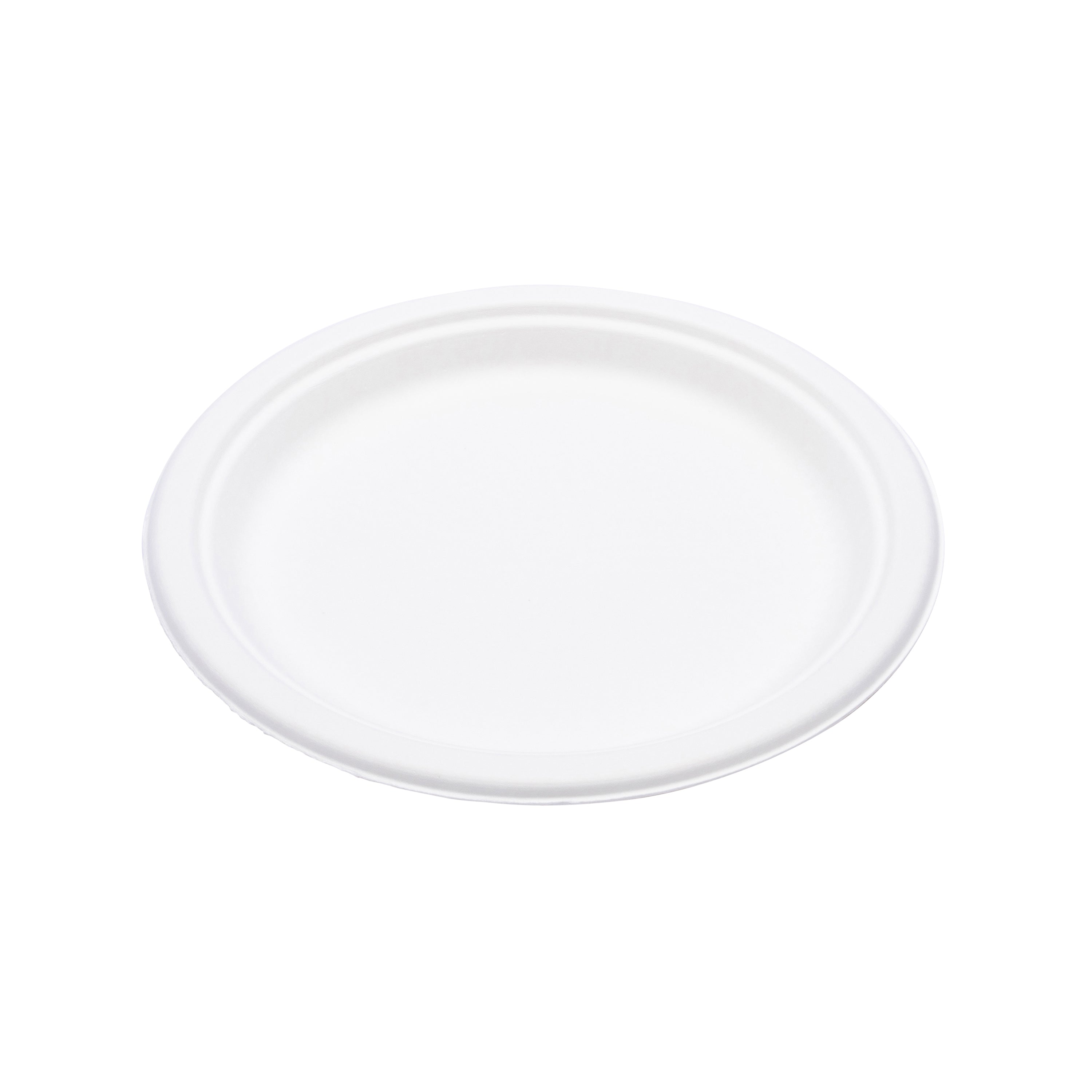 Compostable Everyday Plates