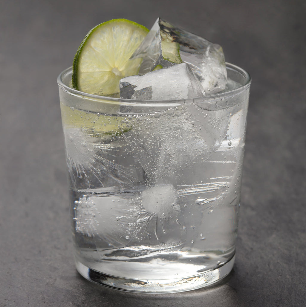 Everyday Ice Tray