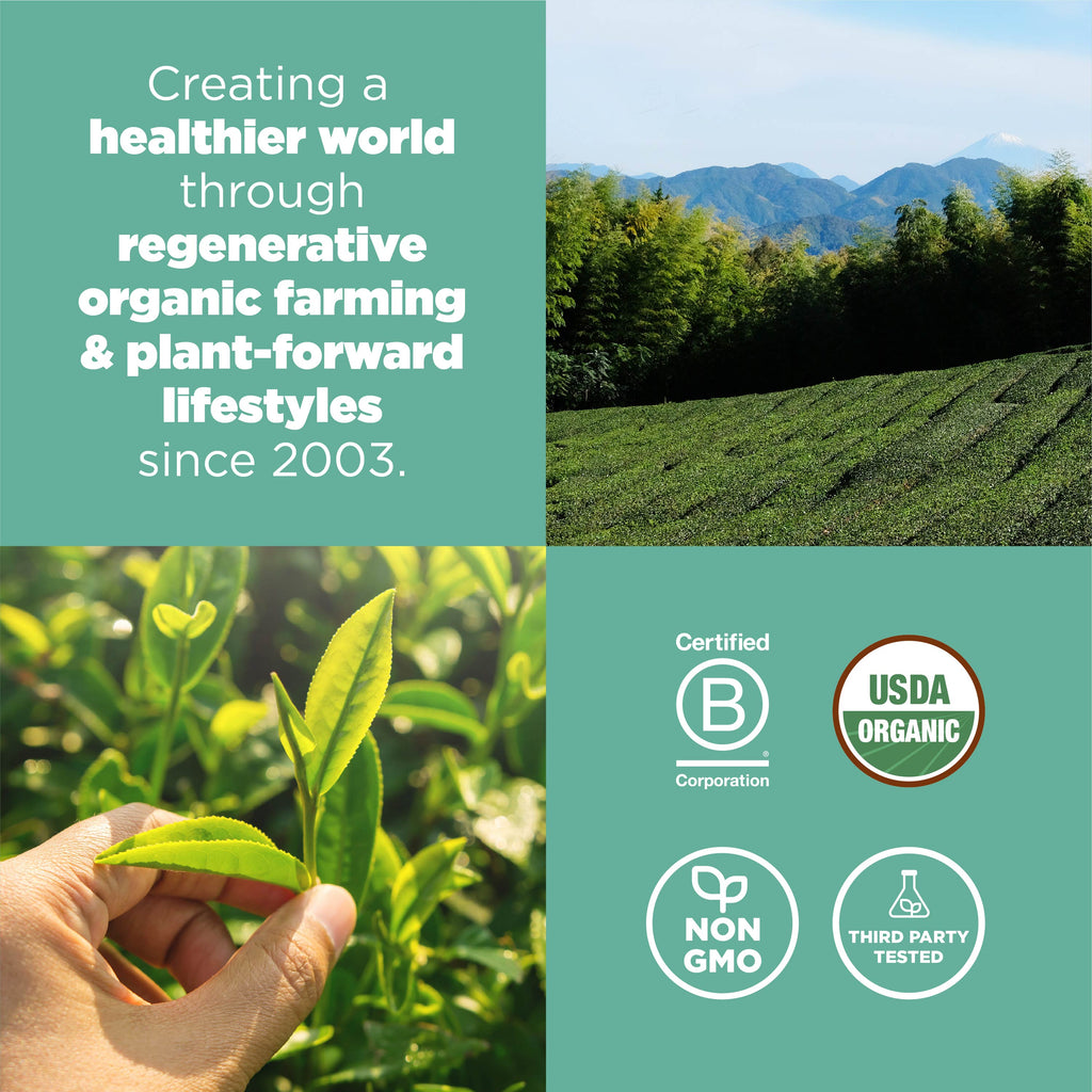 Organic Matcha Powder